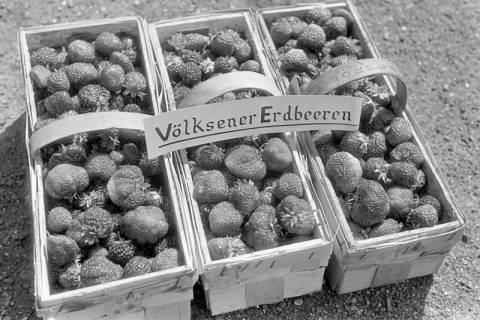 ARH NL Dierssen 1247/0006, Erdbeer-Körbe, Völksen, 1953
