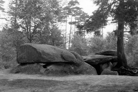 ARH NL Dierssen 1250/0011, Die Sieben Steinhäuser, Osterheide, 1953