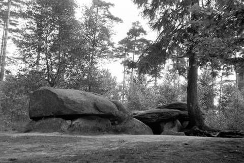 ARH NL Dierssen 1250/0012, Die Sieben Steinhäuser, Osterheide, 1953