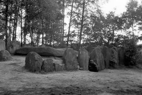 ARH NL Dierssen 1250/0014, Die Sieben Steinhäuser, Osterheide, 1953