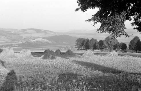 ARH NL Dierssen 1251/0008, Blick aufs Weserbergland, Polle, 1953