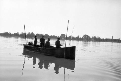ARH NL Dierssen 1252/0005, Wettangeln, Steinhude, 1953