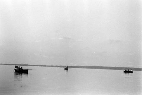 ARH NL Dierssen 1252/0010, Wettangeln, Steinhude, 1953