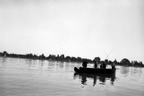 ARH NL Dierssen 1253/0002, Wettangeln, Steinhude, 1953