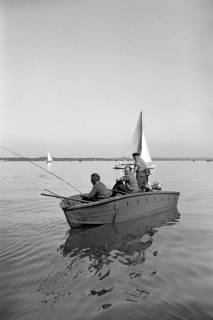 ARH NL Dierssen 1253/0003, Wettangeln, Steinhude, 1953
