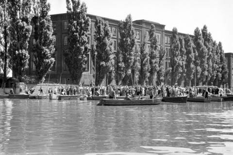 ARH NL Dierssen 1253/0010, Wettangeln, Steinhude, 1953