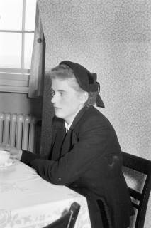 ARH NL Dierssen 1254/0020, Mordprozess gegen Elfriede Tiltmann und Willi Othmer, Hildesheim, 1953