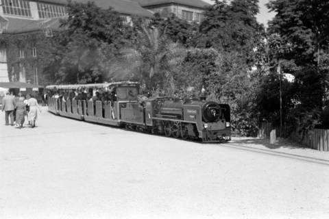 ARH NL Dierssen 1255/0015, Verkehrsausstellung: Bimmelbahn, München, 1953