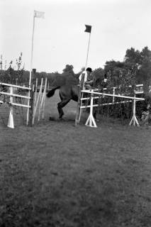 ARH NL Dierssen 1258/0006, Landespferdeleistungsschau: Geländeritt, Hannover, 1953