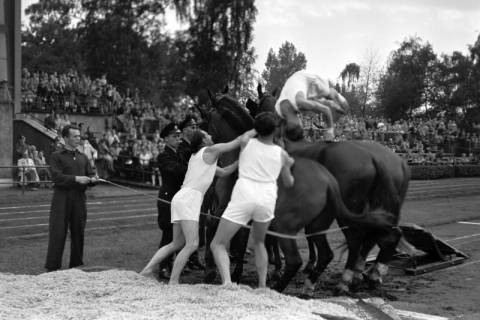 ARH NL Dierssen 1258/0012, Königssprung beim Polizei-Sportfest, Hannover, 1953