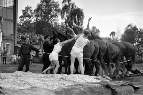 ARH NL Dierssen 1258/0014, Königssprung beim Polizei-Sportfest, Hannover, 1953