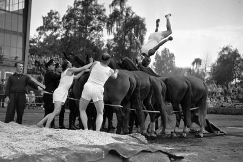 ARH NL Dierssen 1258/0015, Königssprung beim Polizei-Sportfest, Hannover, 1953