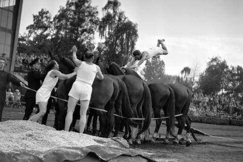 ARH NL Dierssen 1258/0016, Königssprung beim Polizei-Sportfest, Hannover, 1953