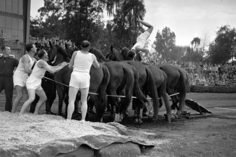 ARH NL Dierssen 1258/0017, Königssprung beim Polizei-Sportfest, Hannover, 1953