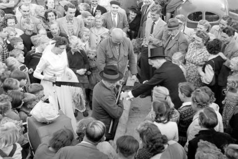 ARH NL Dierssen 1259/0001, Hochzeit Mensenkamp, Springe, 1953