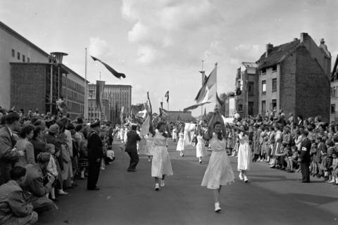 ARH NL Dierssen 1265/0001, Blumenkorso, Hannover, 1953