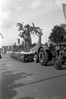 ARH NL Dierssen 1265/0005, Blumenkorso, Hannover, 1953