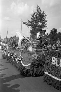ARH NL Dierssen 1265/0010, Blumenkorso, Hannover, 1953