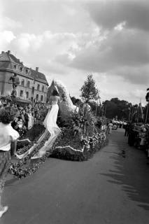 ARH NL Dierssen 1265/0011, Blumenkorso, Hannover, 1953