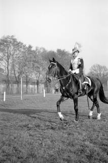 ARH NL Dierssen 1266/0017, Königs-Ulan Gustav Klehn, Hannover, 1953