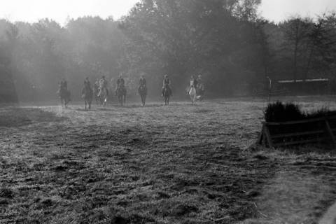 ARH NL Dierssen 1267/0007, Reiter auf der Rennbahn, Hannover, 1953
