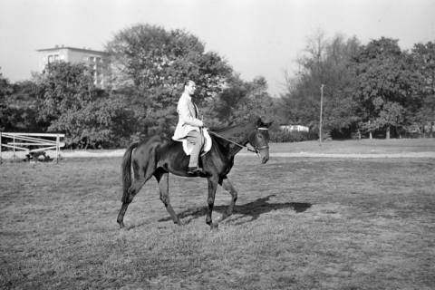ARH NL Dierssen 1267/0017, Reiter auf der Rennbahn, Hannover, 1953