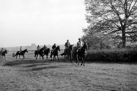 ARH NL Dierssen 1267/0020, Reiter auf der Rennbahn, Hannover, 1953