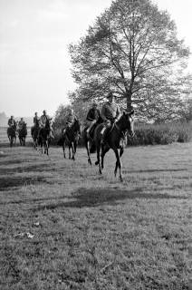 ARH NL Dierssen 1267/0021, Reiter auf der Rennbahn, Hannover, 1953