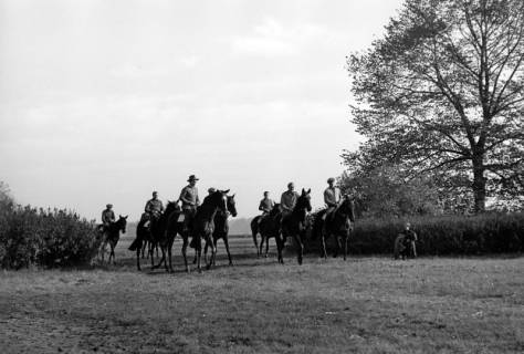 ARH NL Dierssen 1267/0022, Reiter auf der Rennbahn, Hannover, 1953