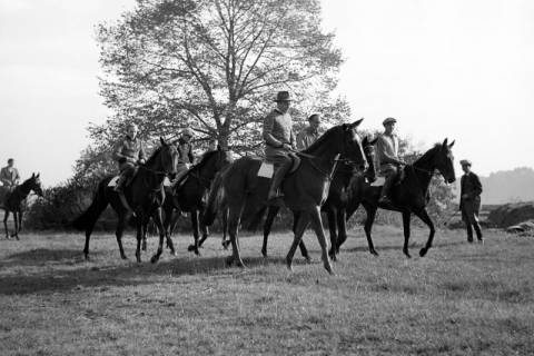 ARH NL Dierssen 1267/0023, Reiter auf der Rennbahn, Hannover, 1953