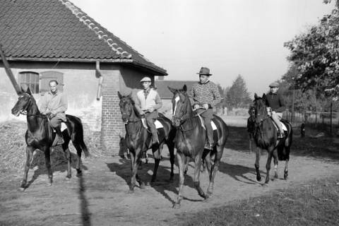 ARH NL Dierssen 1267/0025, Reiter auf der Rennbahn, Hannover, 1953