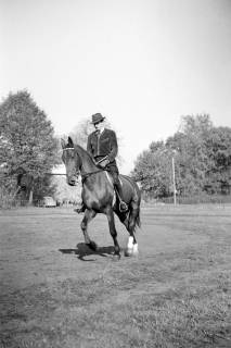 ARH NL Dierssen 1267/0036, Reiter auf der Rennbahn, Hannover, 1953