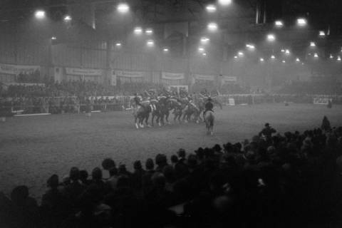 ARH NL Dierssen 1275/0021, Hallen-Reitturnier, Hannover, 1954