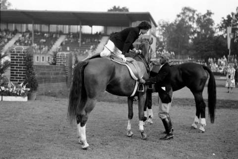 ARH NL Dierssen 1284/0011, Landes-Reitturnier, Hannover, 1954