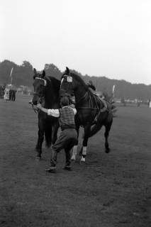 ARH NL Dierssen 1284/0015, Landes-Reitturnier, Hannover, 1954