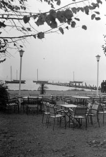 ARH NL Dierssen 1293/0005, Herbst am Steinhuder Meer, Steinhude, 1954