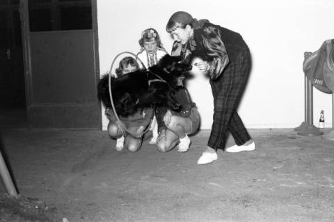 ARH NL Dierssen 1298/0006, Verdener Kinderzirkus, Hannover, 1954