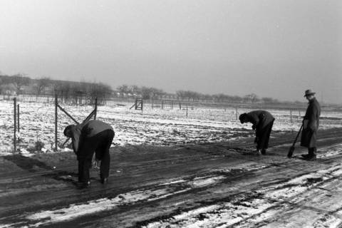 ARH NL Dierssen 1298/0019, Bauarbeiten VW-Werk, Hannover, 1955