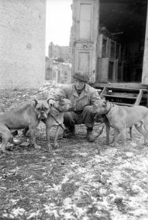 ARH NL Dierssen 1303/0026, "Hungernde Artistenhunde", Hannover, 1955