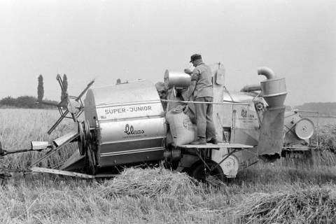 ARH NL Dierssen 1317/0031, Mähdrescher (Claas Super-Junior), Devese, 1955