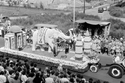 ARH NL Dierssen 1318/0008, Blumenkorso, Hannover, 1955