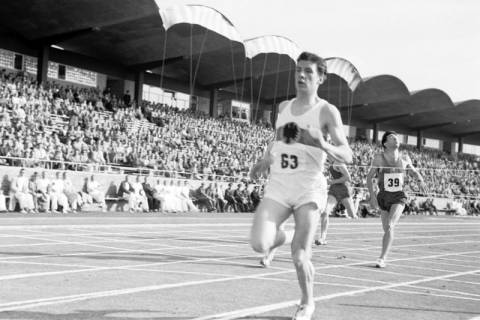 ARH NL Dierssen 1322/0022, Leichtathletik-Länderkampf Deutschland gegen Frankreich, Hannover, 1955