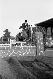ARH NL Dierssen 1322/0034, Reitturnier mit Polizei, Hannover, 1955