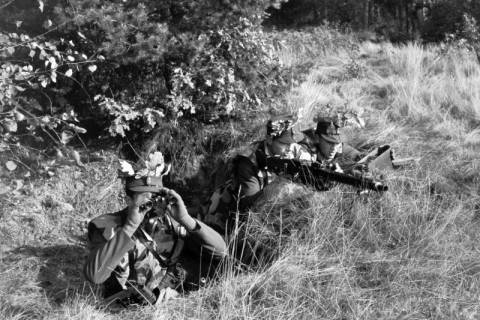 ARH NL Dierssen 1338/0021, Manöver Bundesgrenzschutz, Mandelsloh, 1955