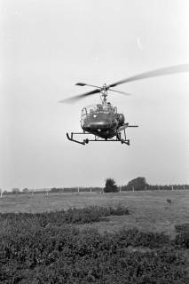 ARH NL Dierssen 1338/0027, Manöver Bundesgrenzschutz: Hubschrauber, Mandelsloh, 1955