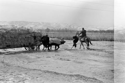 ARH NL Dierssen 1346/0030, Von Hochwasser überspülte Straße, Skopje, 1956