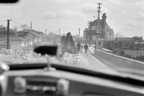 ARH NL Dierssen 1347/0035, Blick aus dem Wagen auf Schafe auf der Straße, Babaeski, 1956