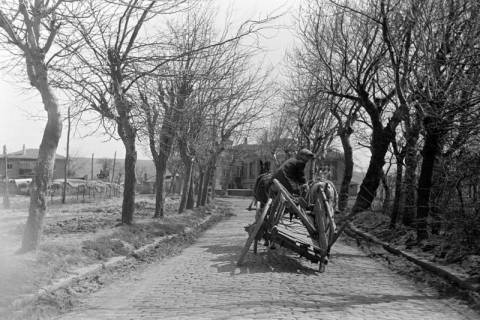 ARH NL Dierssen 1348/0008, Ackerwagen mit Achsenbruch, Büyükcekmece, 1956