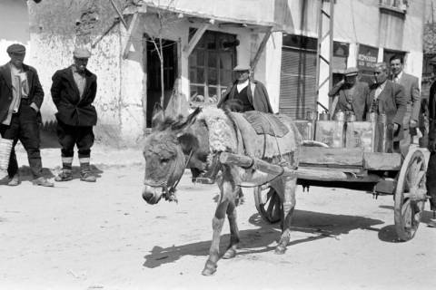 ARH NL Dierssen 1350/0007, Eselskarren, Komotini, 1956