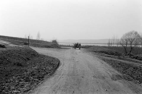 ARH NL Dierssen 1350/0010, Straße, Phylikaskron?, 1956
